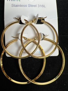 Mint Gold Hoop Earrings 2 Pairs Stainless Steel New